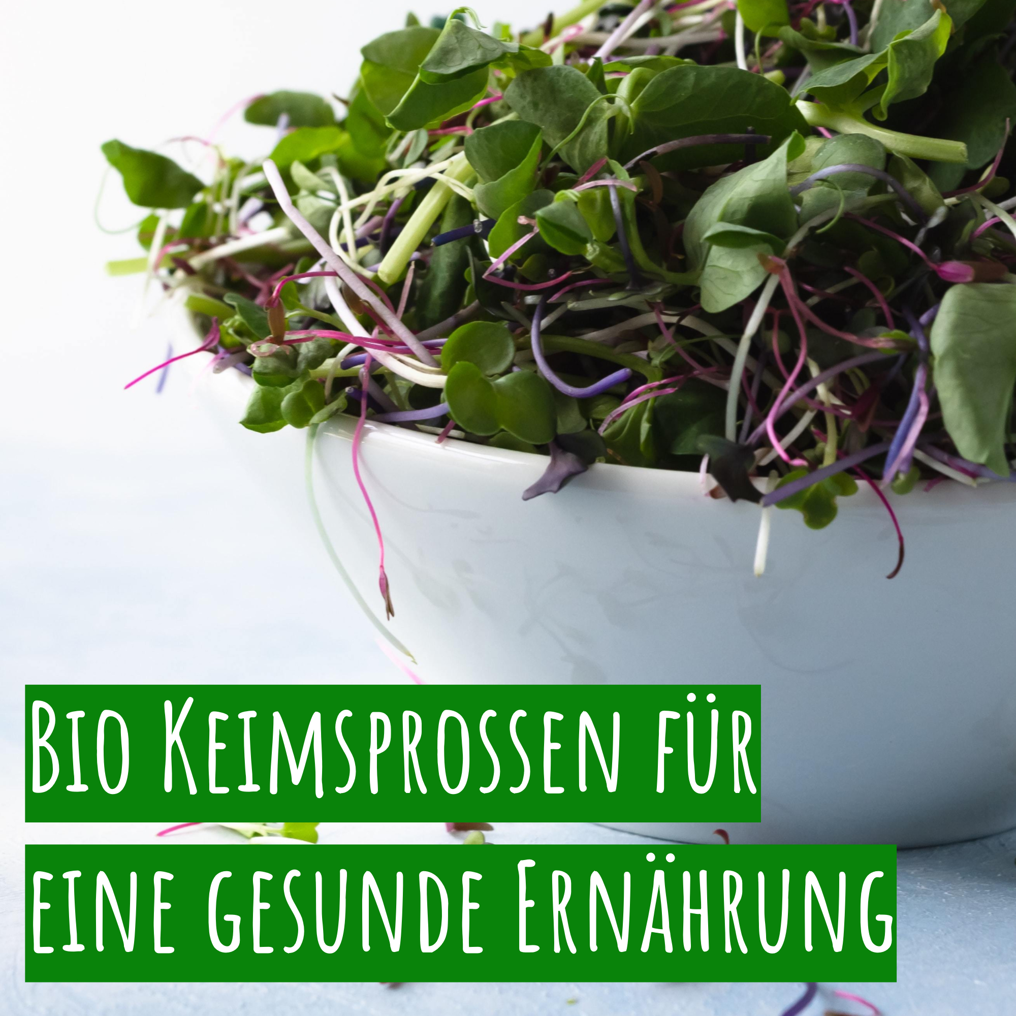 Bio Keimsprossen